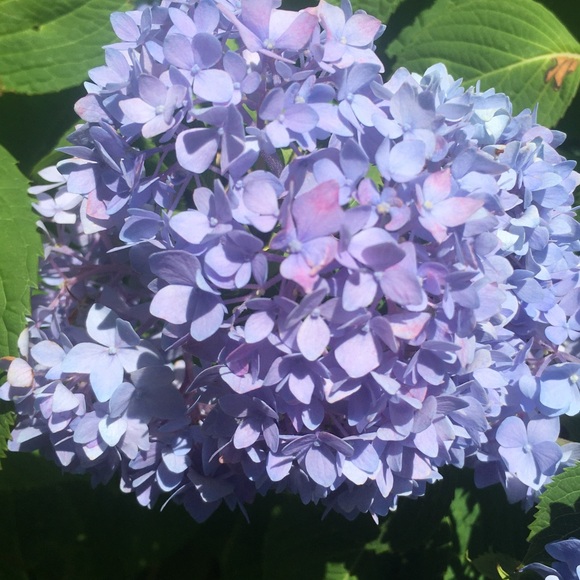 Meet your Posher, Terry - Picture 10 of 16